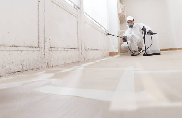 24/7 Emergency Mold Removal experts in Harrisburg, PA